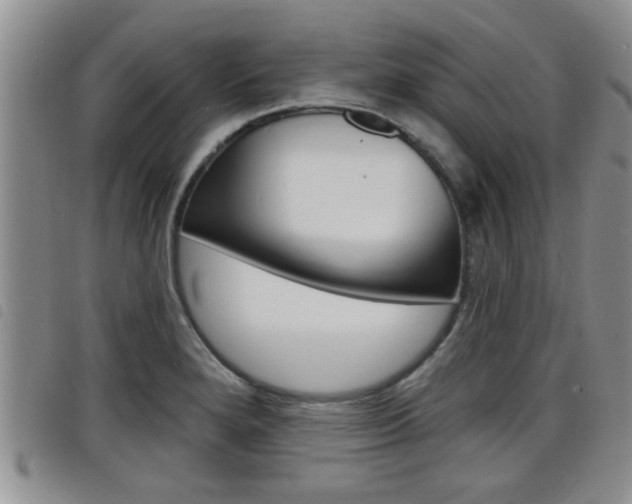 X0000098201280200804241030