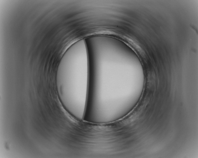 X0000098201281200804241030