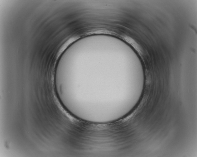X0000098201282200804241030