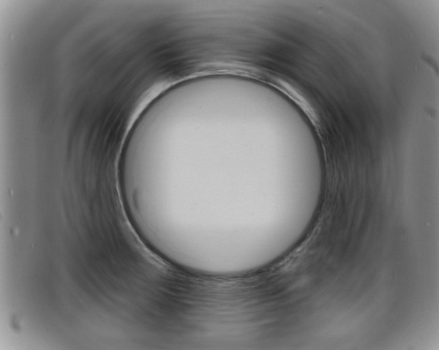X0000098201283200804241030