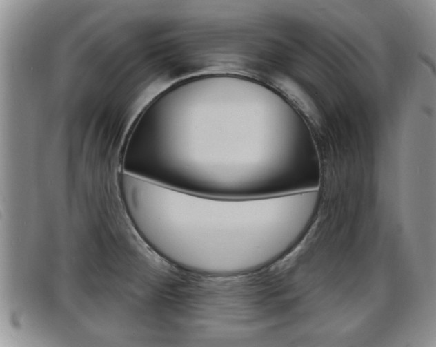 X0000098201284200804241030