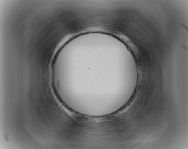 X0000098201286200804241030