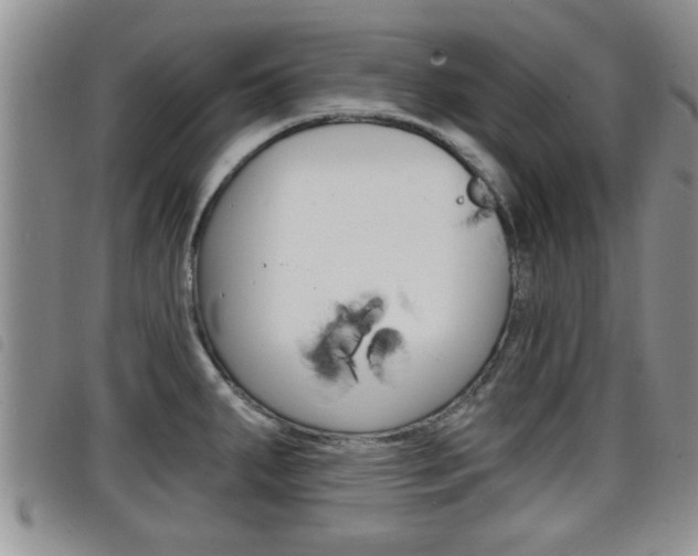 X0000098201287200804241030