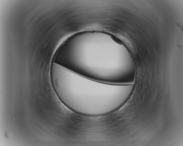 X0000098201288200804241030