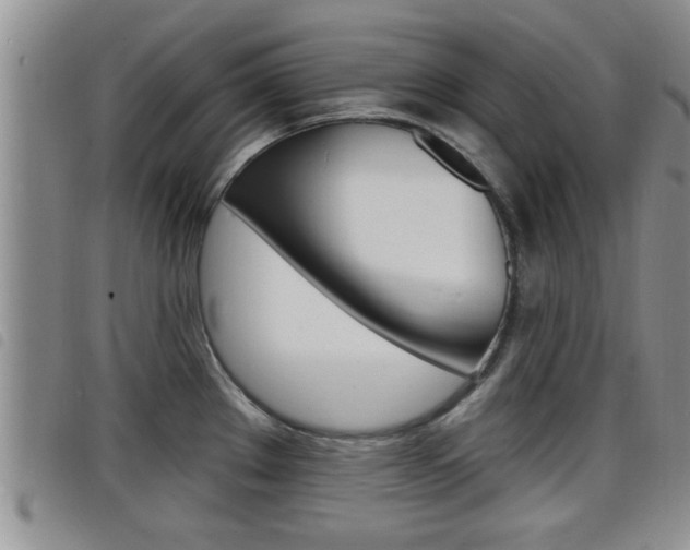 X0000098201289200804241030