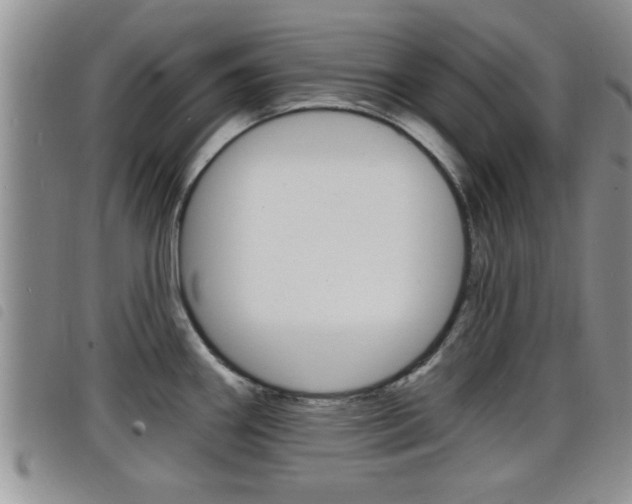 X0000098201290200804241030