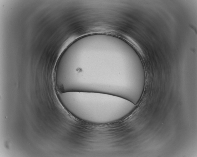 X0000098201291200804241030