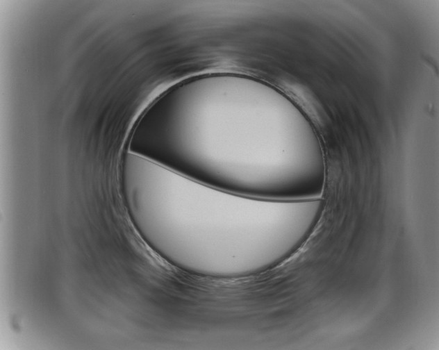 X0000098201292200804241030