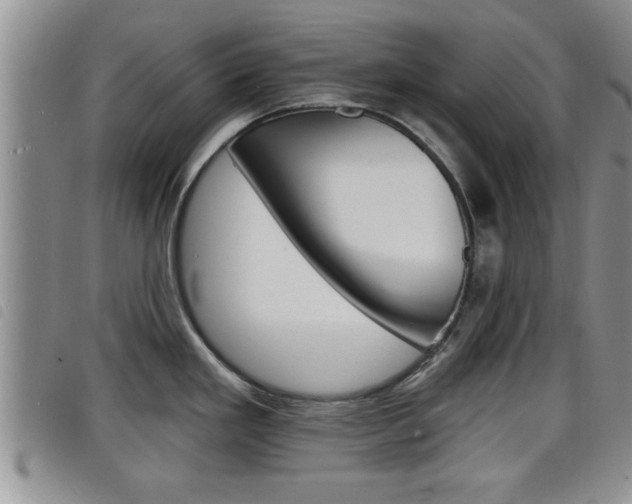 X0000098201293200804241030