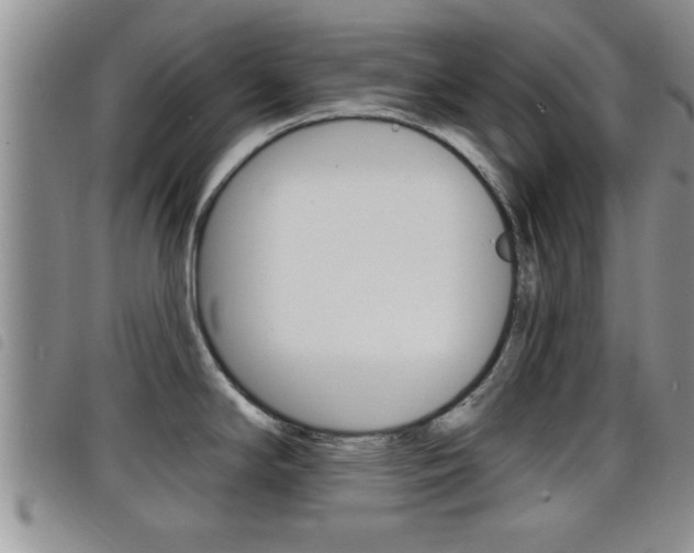X0000098201294200804241030
