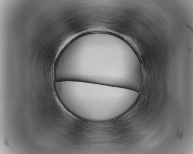 X0000098201295200804241030