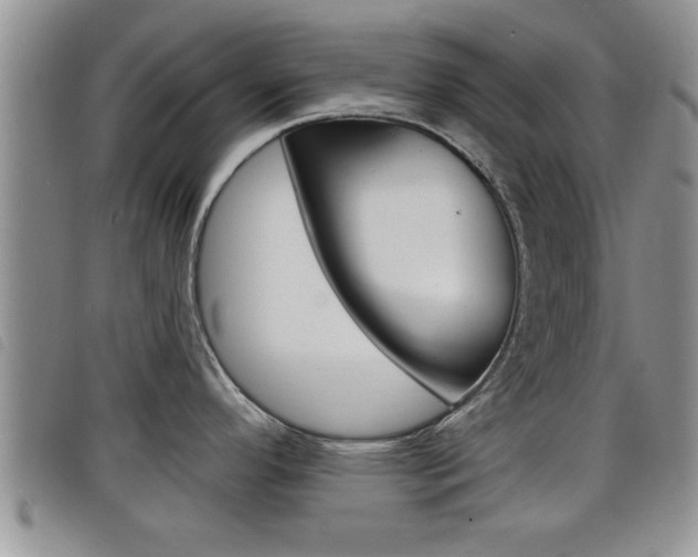 X0000098201296200804241030