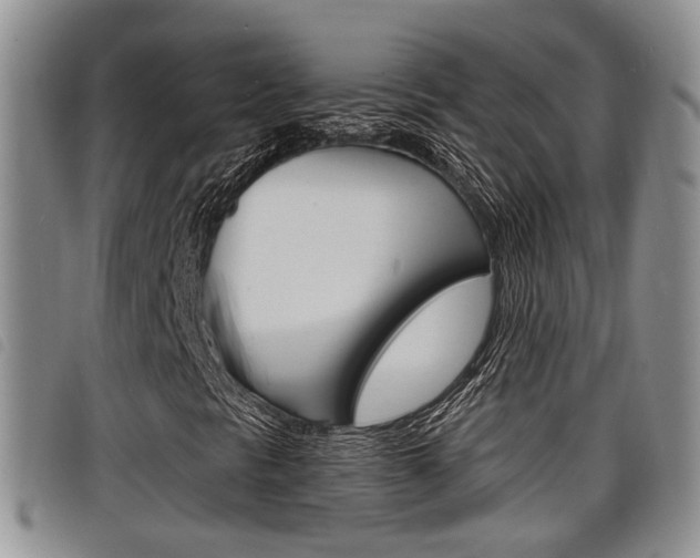X0000098201297200804241029