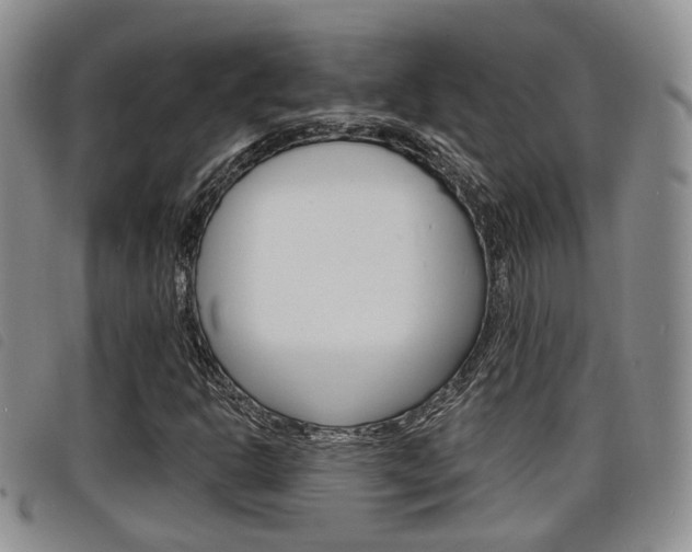X0000098201302200804241029