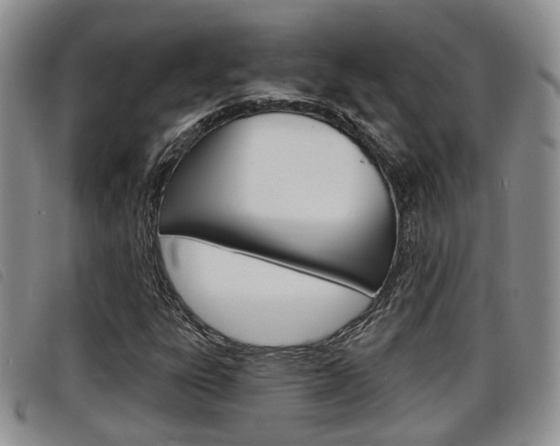 X0000098201303200804241029