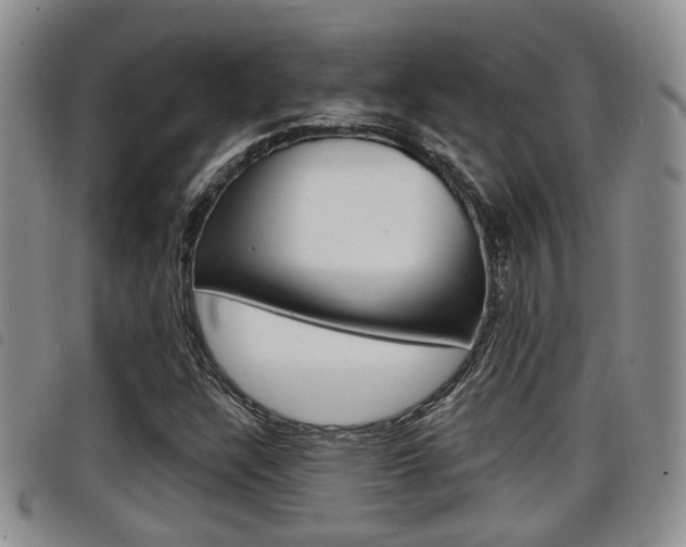 X0000098201304200804241029