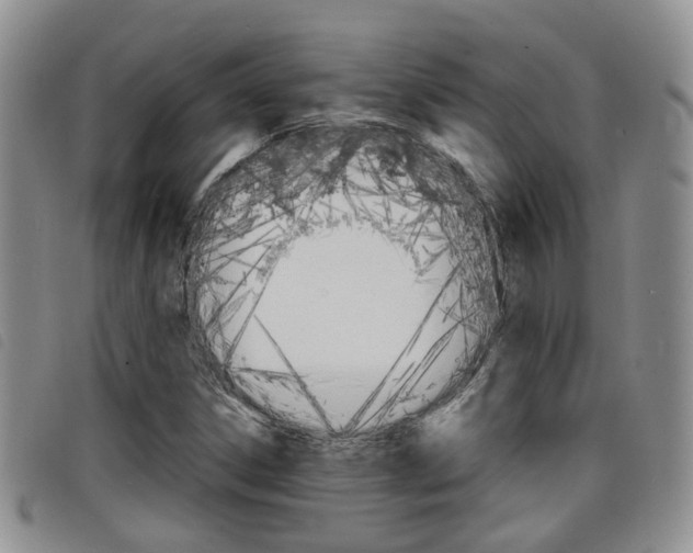 X0000098201306200804241029