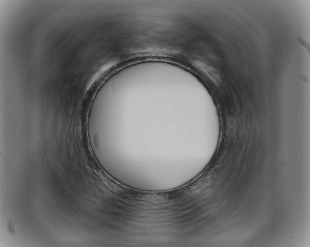 X0000098201307200804241029