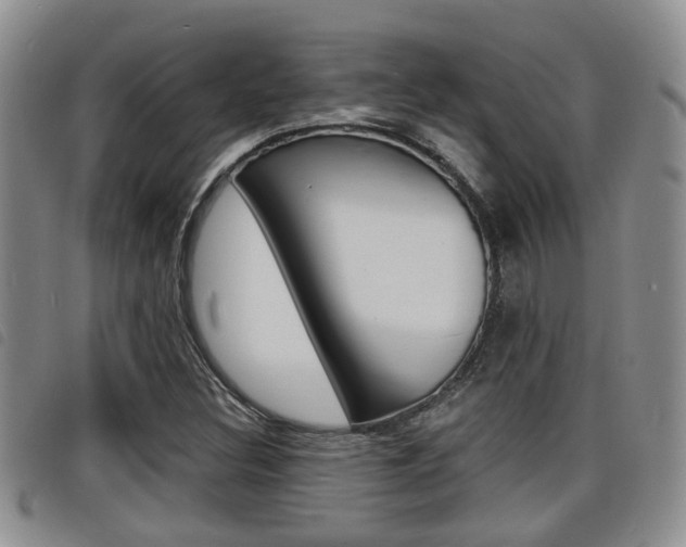 X0000098201308200804241029