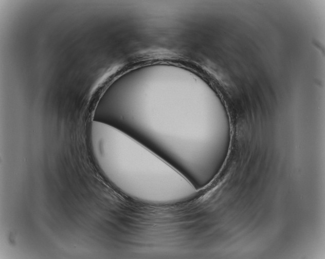 X0000098201309200804241029
