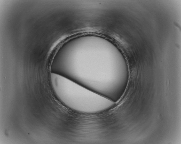 X0000098201310200804241029