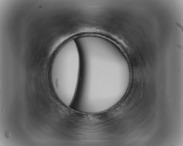 X0000098201311200804241029