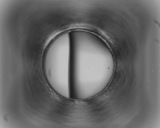 X0000098201312200804241029