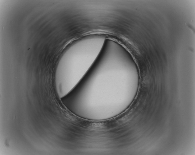 X0000098201313200804241029
