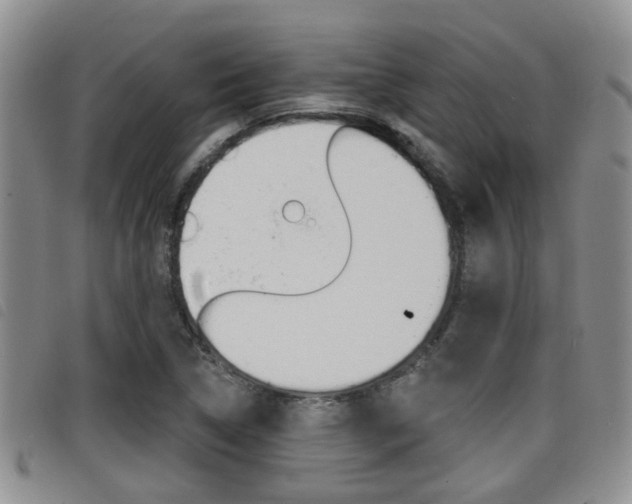 X0000098201314200804241029