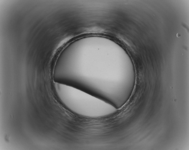 X0000098201315200804241029