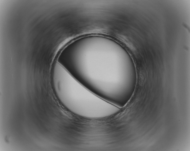 X0000098201316200804241029