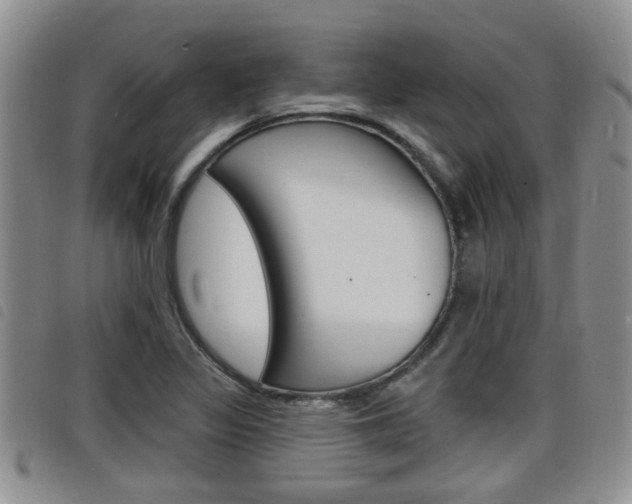 X0000098201317200804241029