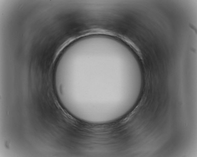 X0000098201318200804241029