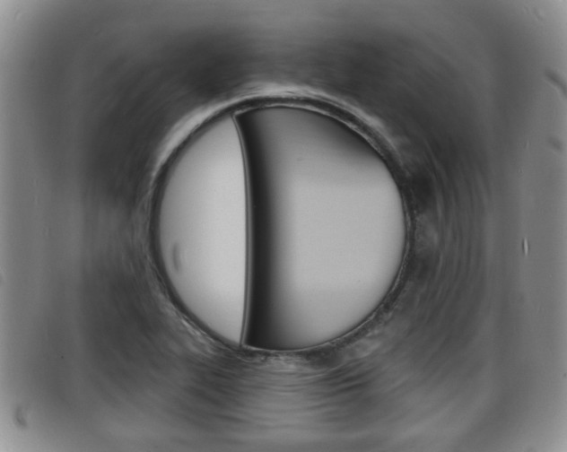 X0000098201319200804241029