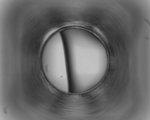 X0000098201320200804241029