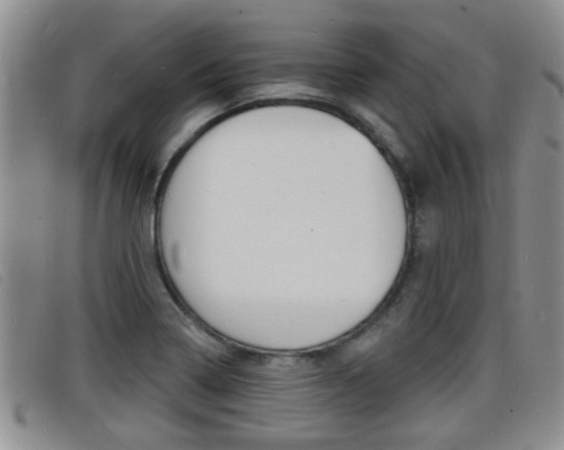 X0000098201322200804241029
