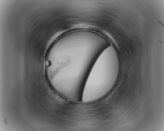 X0000098201323200804241029