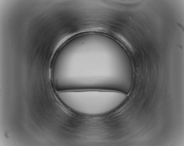 X0000098201324200804241029