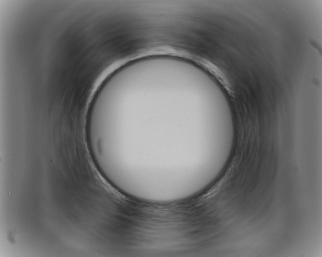 X0000098201326200804241029