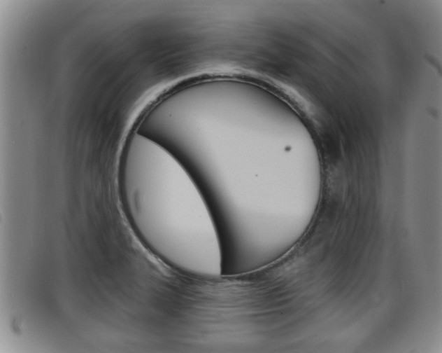 X0000098201327200804241029