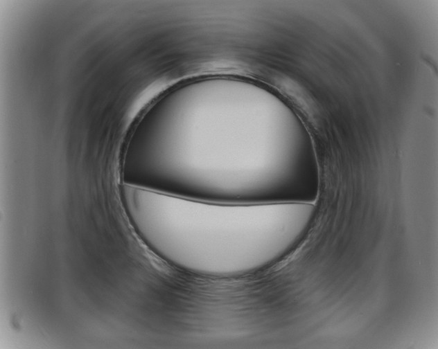 X0000098201328200804241029