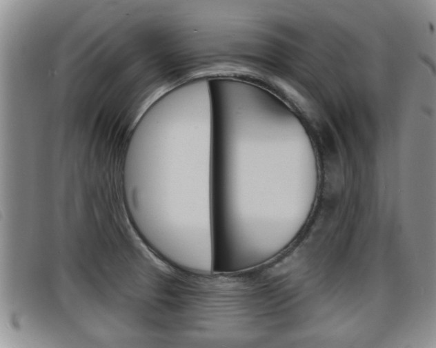 X0000098201329200804241029