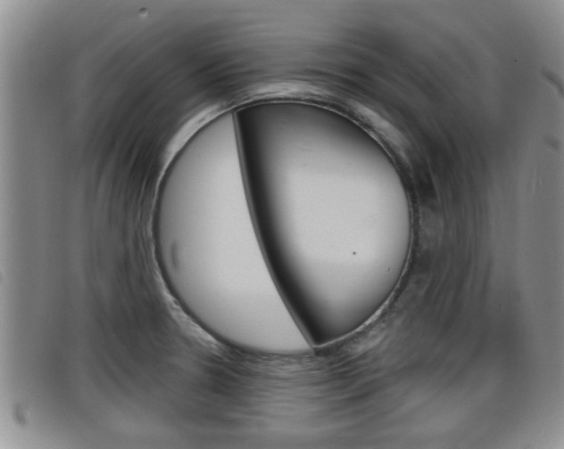 X0000098201330200804241029