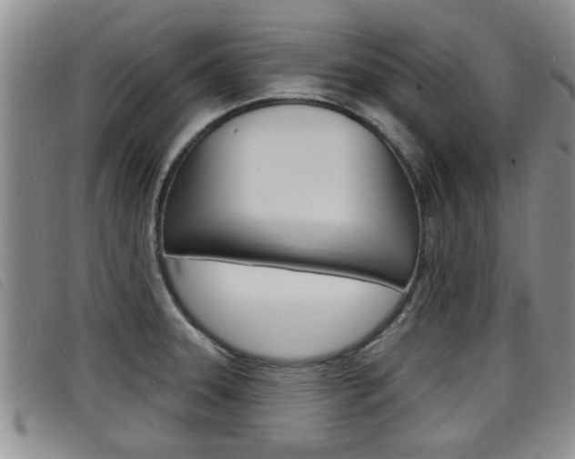 X0000098201331200804241029