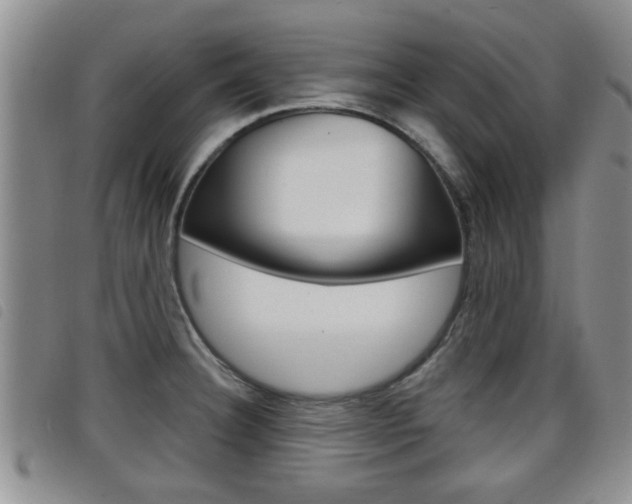 X0000098201332200804241029