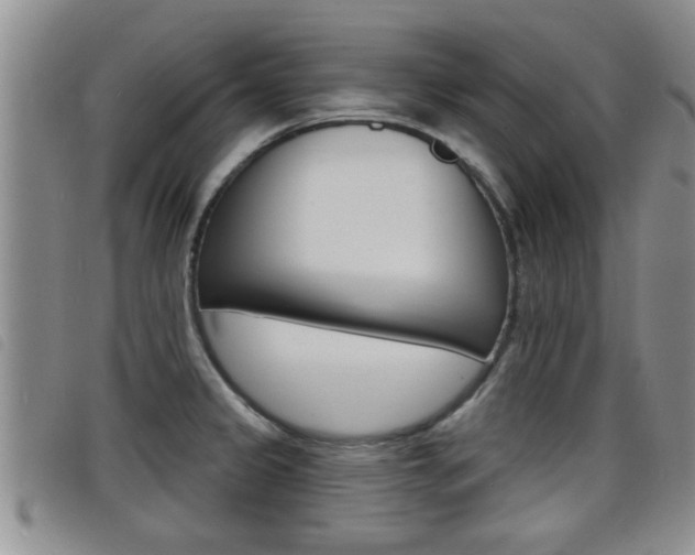 X0000098201333200804241029
