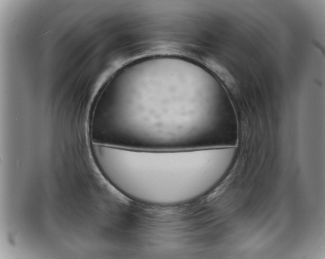 X0000098201334200804241029