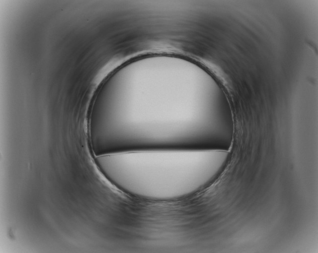 X0000098201335200804241029