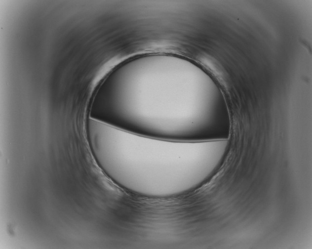 X0000098201336200804241030