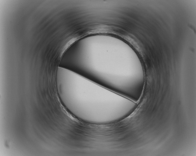 X0000098201337200804241030